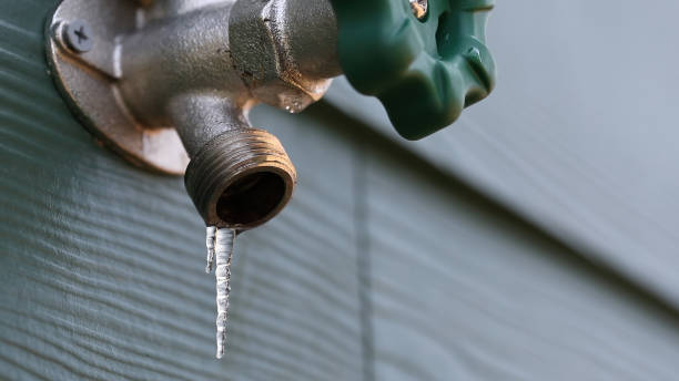 Best Hot Water Heater Installation  in Moulton, AL